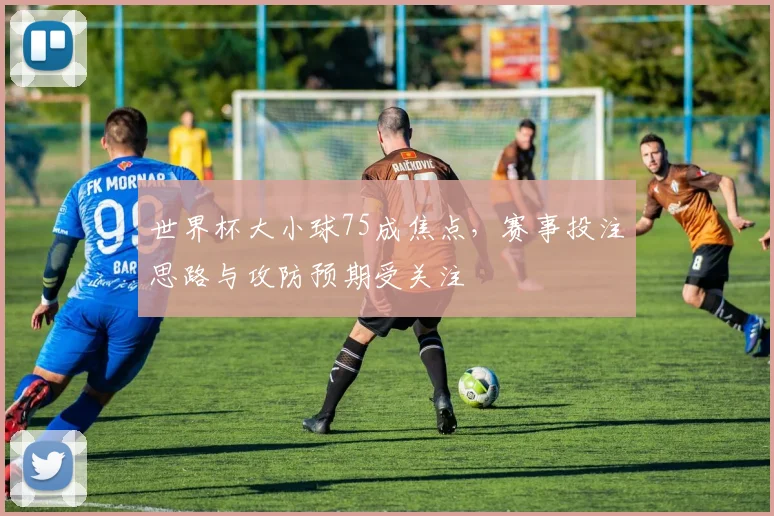 世界杯大小球75成焦点，赛事投注思路与攻防预期受关注
