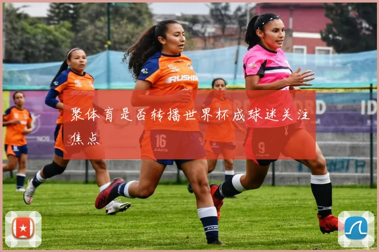 聚体育是否转播世界杯成球迷关注焦点