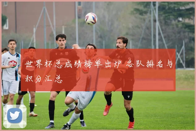 世界杯总成绩榜单出炉 各队排名与积分汇总