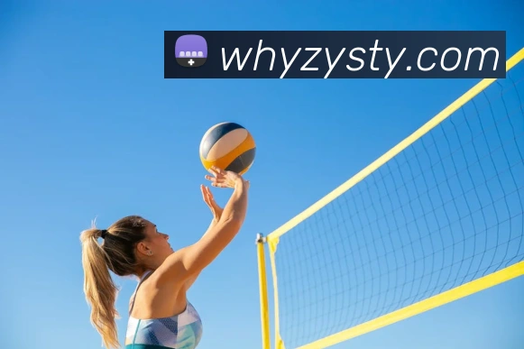 世界杯官网线上平台平台生态图